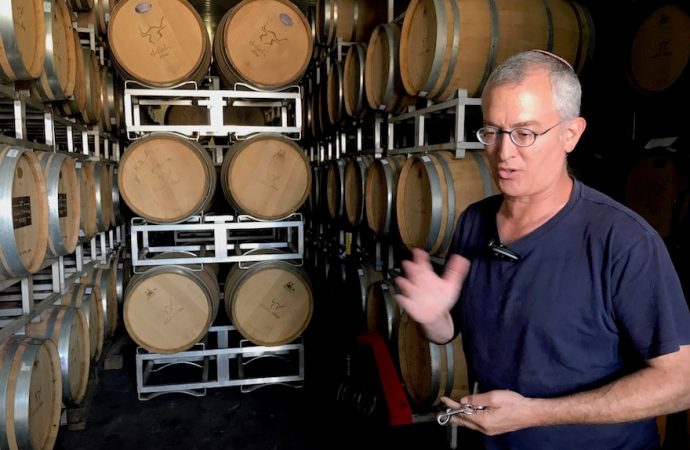 El gobierno apelará un fallo judicial contra los vinos de Cisjordania