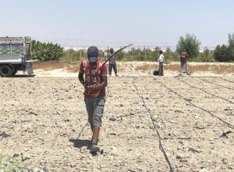 Israel anuncia iniciativa para combatir la ocupación ilegal de tierras estatales en Judea y Samaria