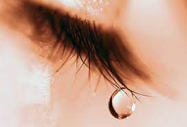 ¿Qué tan valiosas son tus lágrimas?