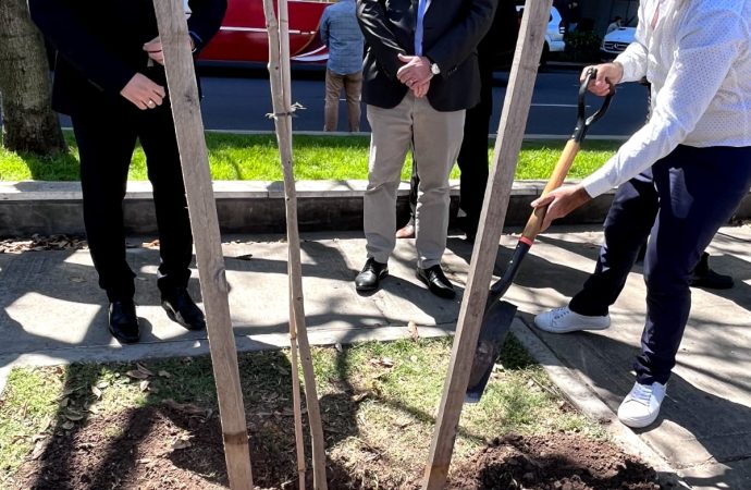 El Keren Kayemet LeIsrael, la OSA y la Embajada plantaron un árbol en honor a Itzjak Rabin Z´´L
