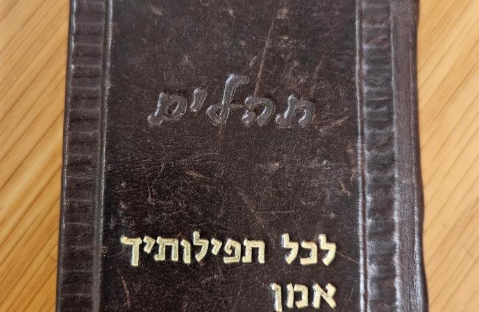 El libro de Salmos de Gidi Gov ha regresado a Israel