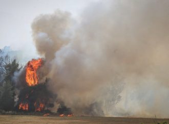 Los incendios consumen bosques emblemáticos para las víctimas del Holocausto cerca de Jerusalem
