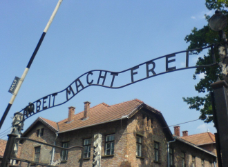 <strong>Un fenómeno que se repite.</strong> ¿A qué se debe el resurgimiento del antisemitismo?