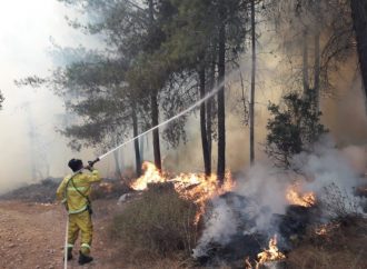 <strong>Aviones de extinción de incendios desplegados.</strong> Incendios forestales en todo Israel