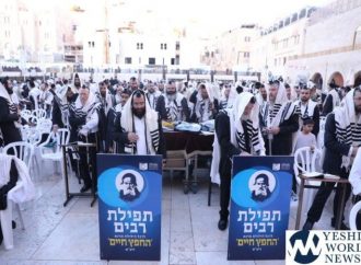 Reuniones mundiales para recordar el Yahrtzeit de Jafetz Jaim