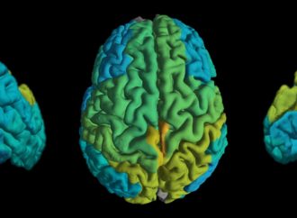 <strong>Estudio de la universidad Bar-Ilán.</strong> Cómo nuestro cerebro maneja nuestra propia mortalidad