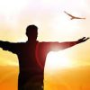 Shabat Shalom Semanal Parashat Nóaj