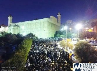 <strong>Récord de visitantes.</strong> 45,000 personas pasaron Shabat en Hebrón en Me’arat Ha’Majpela