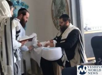 <strong>¡Histórico!.</strong> Brit Milah en Abu Dhabi realizado por un Mohel de Beitar Illit