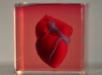 <strong>Instituto Científico Weizman.</strong> Investigadores israelíes descubren ‘tinte azul’ para reparar corazones después del ataque