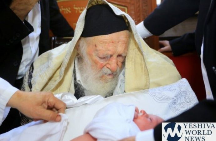 Hagaón HaRav Jaim Kanievsky es Sandak en Brit Milá de un empleado civil de las FDI asesinado en la base
