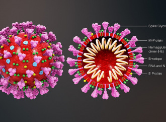 <strong>Gobierno se reunirá sobre coronavirus.</strong> Rechazaron la entrada a Israel de ciudadanos chinos