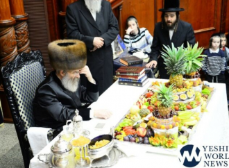 <strong>Festividades.</strong> El cambio de Tu BeShvat que sucedió hace 4 siglos