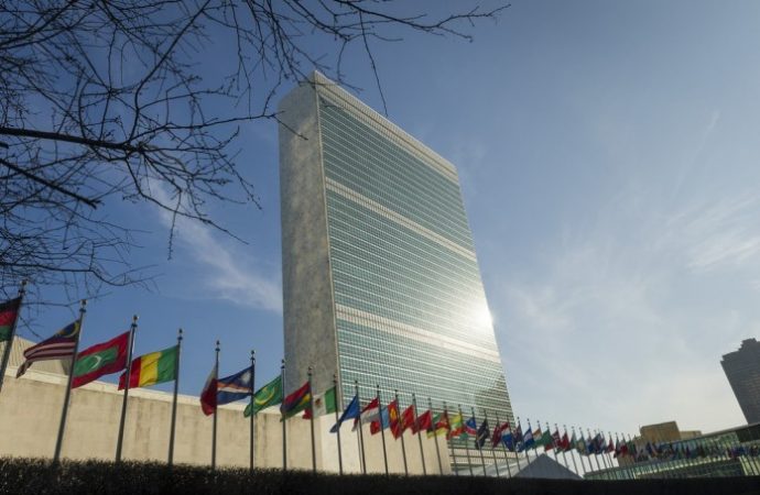 Naciones Unidas: Racismo institucionalizado