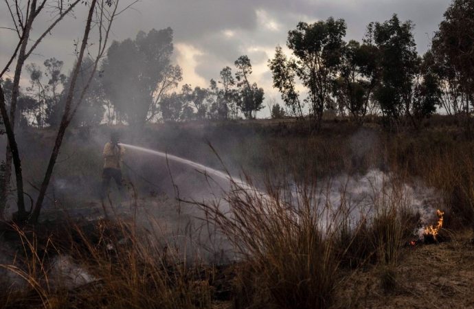 Acuerdo de cesación del fuego en la frontera de Gaza
