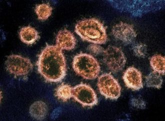 Tener COVID-19 puede proteger contra la reinfección