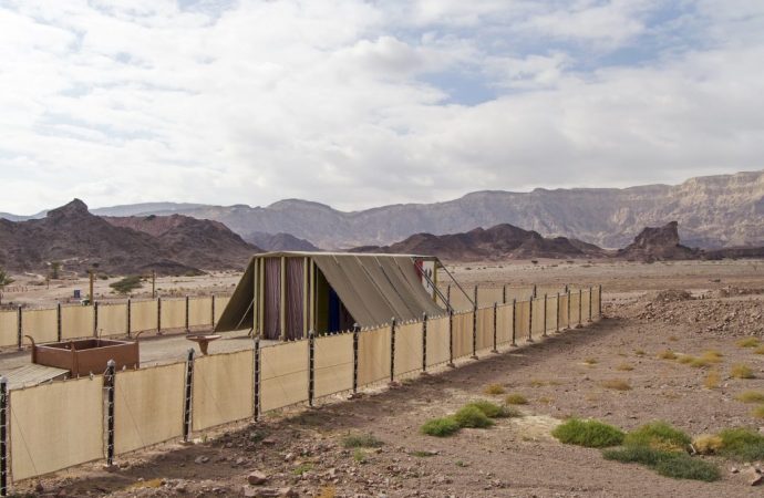 Trayendo tu sacrificio hoy