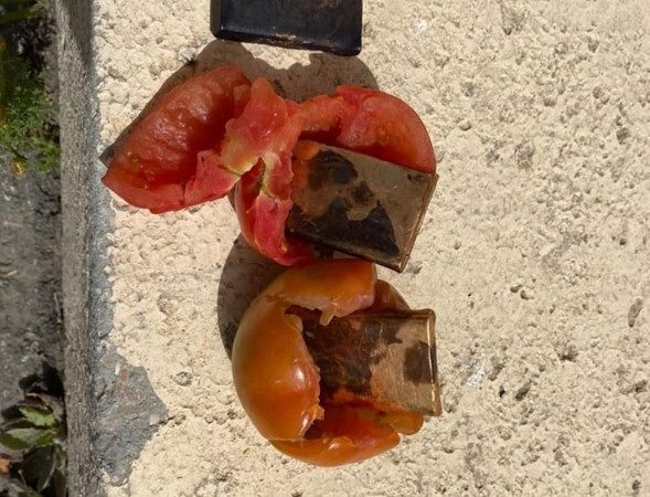 Las autoridades confiscan lingotes de oro de contrabando en verduras de Gaza