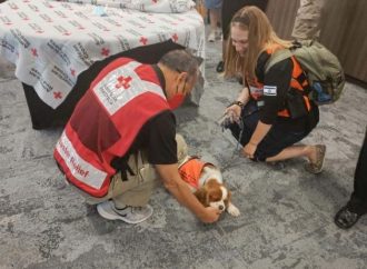 <strong>Asistencia psicológica.</strong> Lucy, la perra de terapia de United Hatzalah, saca lo mejor de las personas en la torre derrumbada de Florida