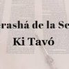 Shabat Shalom Semanal Parashat Ki Tabó