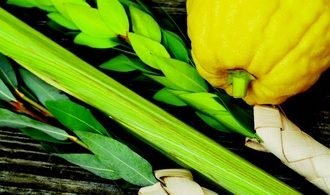 Sukot – Arba Minim