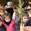Halajá del día: Jol Hamoed Sucot