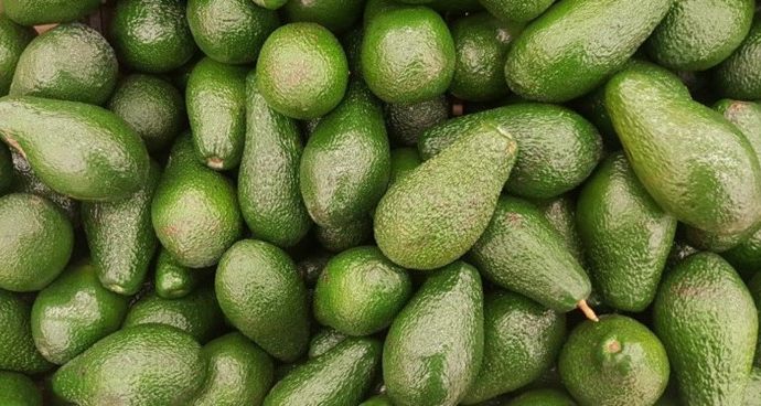 La agricultura de Israel sigue apostando fuerte al “oro verde”