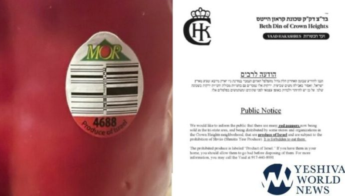Los pimientos rojos vendidos en los supermercados de Nueva York son producto de Shemitá