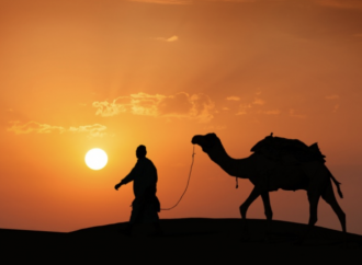 Shabat Shalom Semanal Parashat Lej Lejá