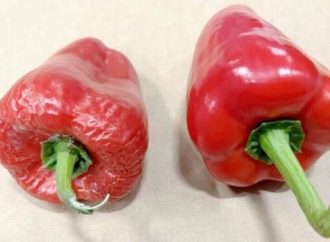<strong>Emprendedores.</strong> Startup israelí creó un recubrimiento comestible para frutas y verduras