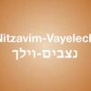 Shabat Shalom Semanal Parashat Nitzavim – Vayélej 