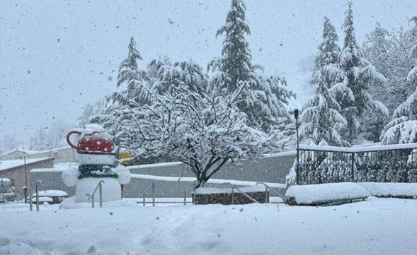 Casi 60 centímetros de nieve cayeron en la montaña Hermon