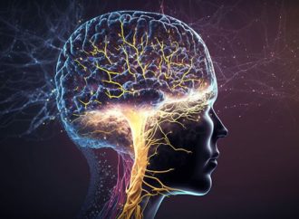 <strong>Altas fiestas.</strong> Dándose el lujo de sumergirse: baños de hielo, neuroplasticidad y Rosh Hashaná