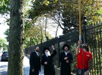 <strong>Estados Unidos.</strong> Los Kohanim ahora pueden viajar por las carreteras adyacentes a los cementerios en las afueras de Boro Park y Midwood