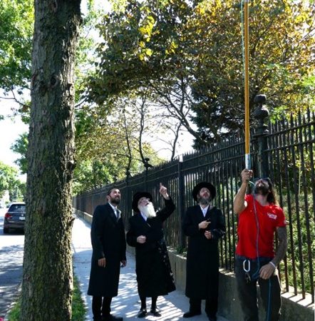 Los Kohanim ahora pueden viajar por las carreteras adyacentes a los cementerios en las afueras de Boro Park y Midwood