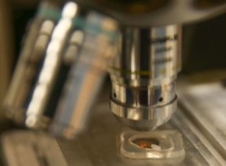 Científicos israelíes y estadounidenses descubren un interruptor viral que podría ayudar a vencer la resistencia a los antibióticos