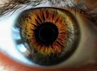 Israel vuelve a sorprender: una córnea impresa en 3D devuelve visión a una paciente