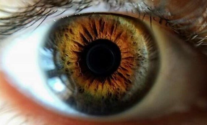 Israel vuelve a sorprender: una córnea impresa en 3D devuelve visión a una paciente