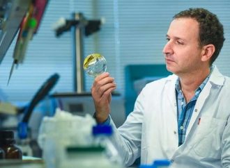 El fin de las farmacias: el Technion desarrolla microagujas para que el cuerpo produzca sus propios medicamentos
