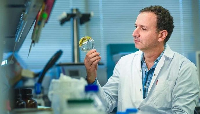 El fin de las farmacias: el Technion desarrolla microagujas para que el cuerpo produzca sus propios medicamentos