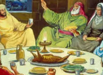 La plaga número once