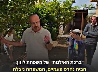 “La bendición de los árboles” que fortalece