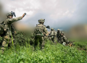 Las Fuerzas de Defensa de Israel revelan que llevaron a cabo una incursión de una semana al norte del río Litani