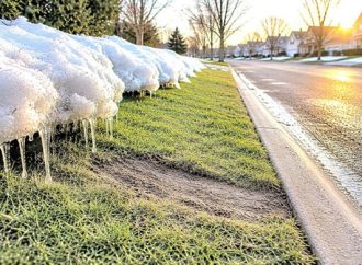 El invierno olvidado