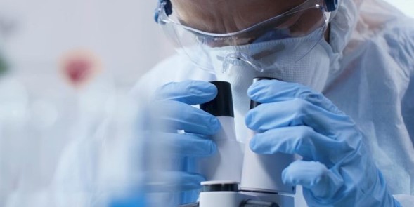 Cáncer: desarrollan en Israel una nueva clase de moléculas “degradadoras” que destruyen tumores agresivos