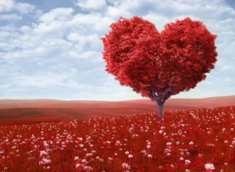 ¿Por qué se compara Tu B’Av con Yom Kipur?