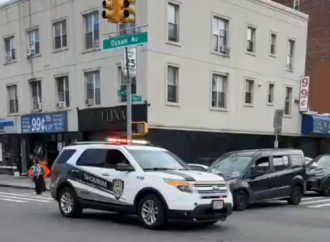 Un momento conmovedor en Flatbush: Hatzoloh y Shomrim llevan a niños con necesidades especiales a Tashlij con sus familias