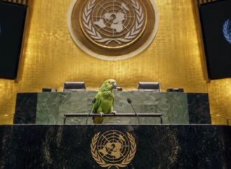 “Repetir una mentira no la convierte en verdad”: Israel publica ante la Asamblea General un informe que expone el sesgo de la ONU