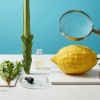 Del etrog al sauce: la sorprendente ciencia que se esconde tras las cuatro especies
