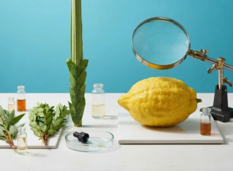 Del etrog al sauce: la sorprendente ciencia que se esconde tras las cuatro especies